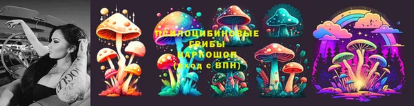 соль курить ск Няндома