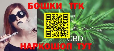 СК Дубна