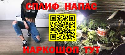 СК Дубна