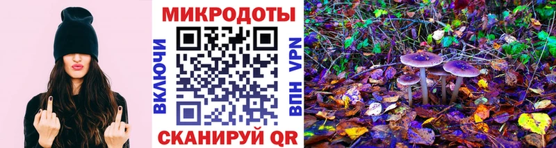 Галлюциногенные грибы Psilocybine cubensis  Кыштым 